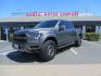 2019 CHARCOAL /BLACK Ford F-150 F-150 Raptor (1FTFW1RG6KF) with an 3.5L V6 ECOBOOST engine, automatic transmission, located at 2630 Grass Valley Highway, Auburn, CA, 95603, (530) 508-5100, 38.937893, -121.095482 - Photo#0